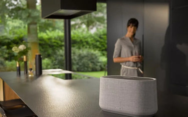 Harman Kardon Citation 300 Gris - EasyLounge - 10