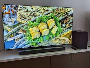 LG Electronics SC9S - EasyLounge - 19