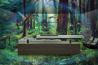 Sony SA-RS5 - EasyLounge - 10