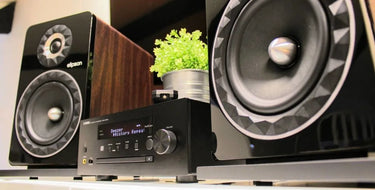 Elipson Prestige Facet 8B Noyer - EasyLounge - 8