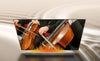 Hisense HS212F - EasyLounge - 25