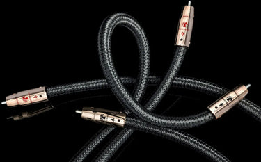 Audioquest Black Beauty RCA (1,5 m) - EasyLounge - 6