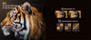 Hisense 65U8HQ - EasyLounge - 11