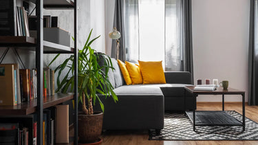 Klipsch The Three Plus+ Noyer - EasyLounge - 12