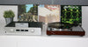 Thorens TD 402 DD Noyer - EasyLounge - 17