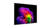 LG Electronics OLED83G6 - EasyLounge - 17