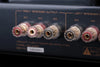 Cayin CS-845A Noir - EasyLounge - 6