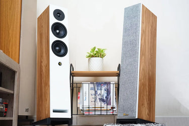 Davis Acoustics Krypton 6 Blanc - EasyLounge - 11