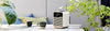 Ruark Audio R1 MK4 Crème - EasyLounge - 8