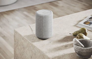 Audio Pro A10 MKII Gris clair - EasyLounge - 7