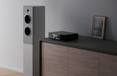 Eversolo T8 - EasyLounge - 9