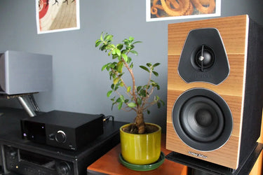 Sonus Faber Lumina I Noyer - EasyLounge - 4