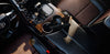 Cayin N8ii - EasyLounge - 30