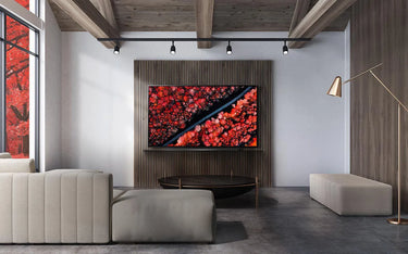 LG Electronics OLED65C9 - EasyLounge - 24