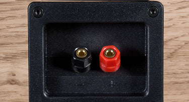 Davis Acoustics Ariane C2 Chêne Clair - EasyLounge - 7