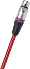 QED Reference Analogue XLR 40 (3 m) - EasyLounge - 4