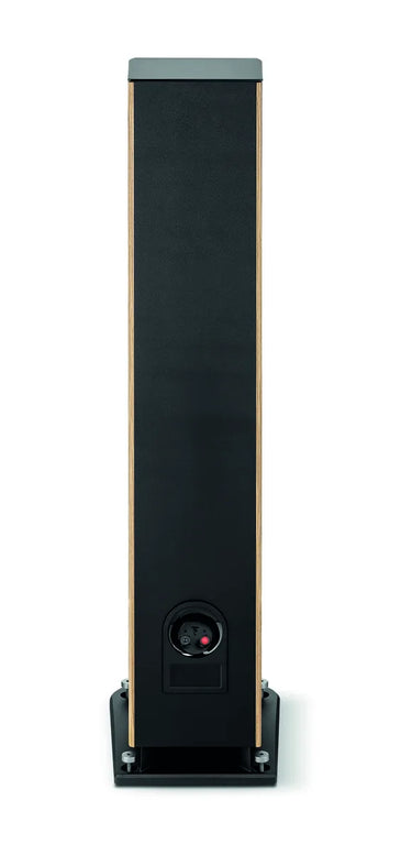 Focal Aria Evo X N°3 Noyer - EasyLounge - 4