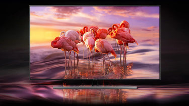 Samsung QE65Q80R - EasyLounge - 13