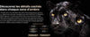 Hisense C3 Pro - Tous les vidéoprojecteurs sur EasyLounge - EasyLounge - 20