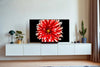 LG Electronics OLED55B8 - EasyLounge - 5