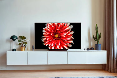 LG Electronics OLED55B8 - EasyLounge - 5