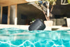 Sony SRS-XB12 Noir - EasyLounge - 9
