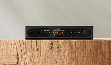FiiO DM15 R2R Noir - EasyLounge - 4