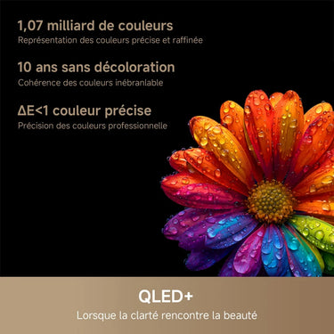 Dreame S100 65" - EasyLounge - 8