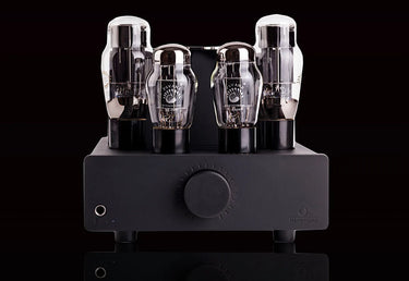 Feliks Audio Elise 2 - EasyLounge - 5