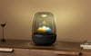 Harman Kardon Aura Studio 5 - EasyLounge - 19