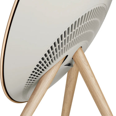 Bang & Olufsen Beosound A9 5th Gen - EasyLounge - 3