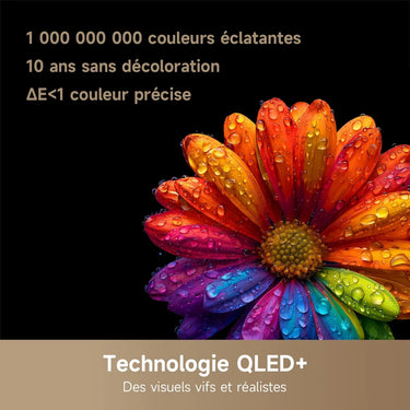Dreame Q100 43" - EasyLounge - 5