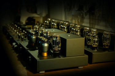 Feliks Audio Euforia Evo - EasyLounge - 7