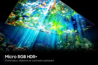 Samsung TMR55R85H - EasyLounge - 9