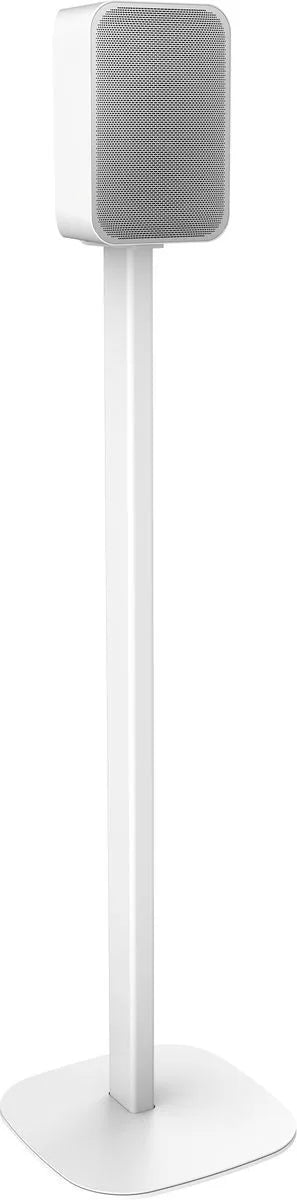 Cavus Pied d