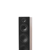 Elipson Prestige Facet II 24F Noyer - EasyLounge - 9