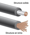 Audioquest MacKenzie RCA (1,5 m) - EasyLounge - 3