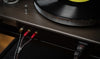 Audioquest Golden Gate Turntable (1,5 m) - EasyLounge - 2