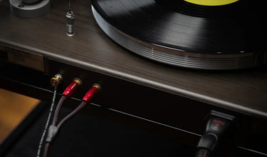 Audioquest Golden Gate Turntable (1,5 m) - EasyLounge - 2