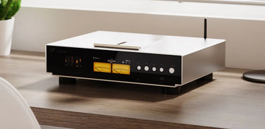 Shanling SCD 3.3 Silver - EasyLounge - 8