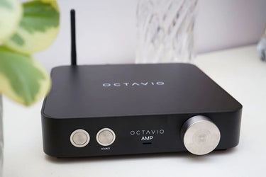 Octavio AMP 24V - EasyLounge - 15