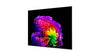 LG Electronics OLED97G6 - EasyLounge - 19