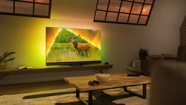 Philips 55PML9308 - EasyLounge - 4