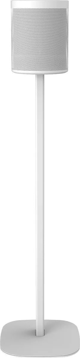 Cavus Pied d
