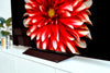 LG Electronics OLED65B8 - EasyLounge - 15