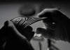 Meze Audio Empyrean Elite Câble XLR (2,5 m) - EasyLounge - 9