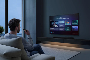Samsung TMR55R85H - EasyLounge - 13