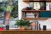 Sonos One SL Noir - EasyLounge - 9