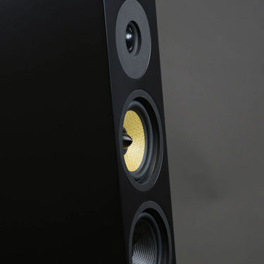 Davis Acoustics Courbet N°5 Noir Mat - EasyLounge - 4
