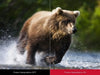 ViewSonic X2000B-4K - EasyLounge - 25